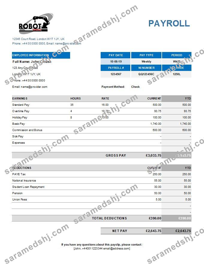 industrial robot company earning statement in Excel and PDF formats